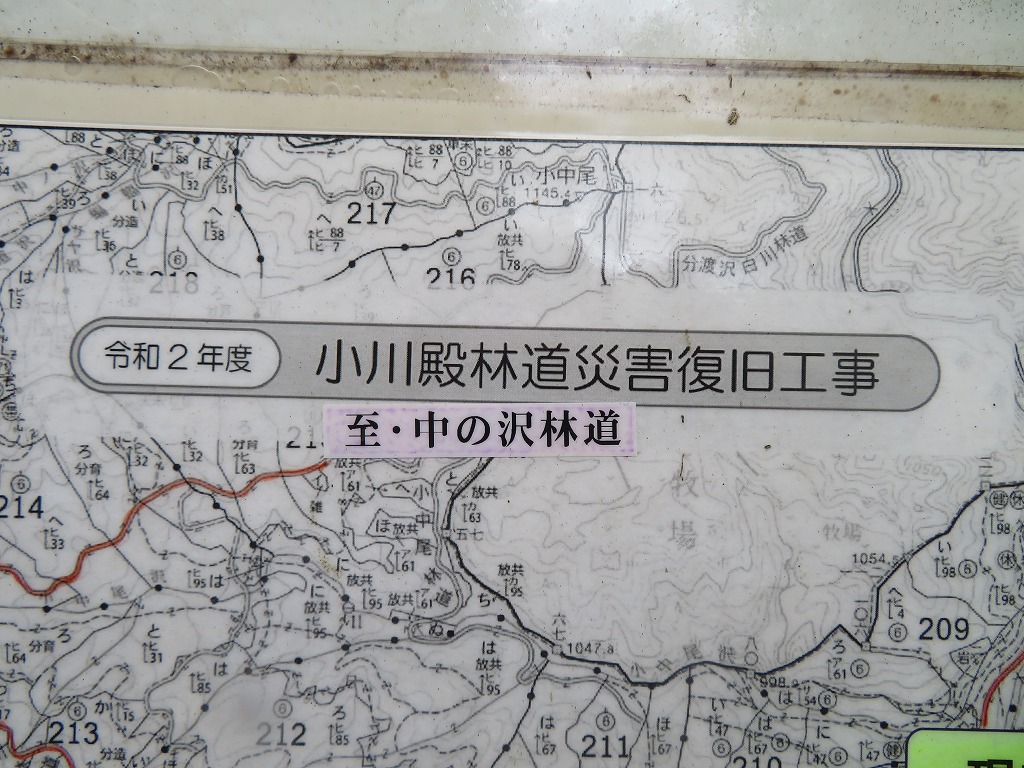 f:id:poseidonttzr:20211103151032j:plain