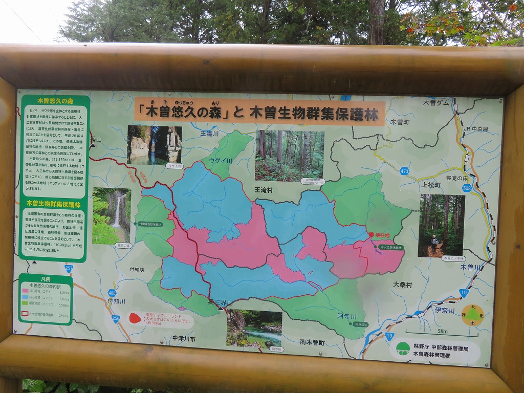 f:id:poseidonttzr:20211105141109j:plain