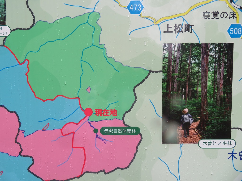 f:id:poseidonttzr:20211105141134j:plain