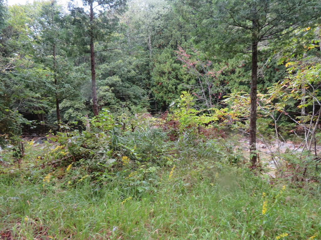 f:id:poseidonttzr:20211105144850j:plain