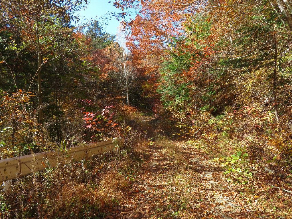 f:id:poseidonttzr:20211110141945j:plain