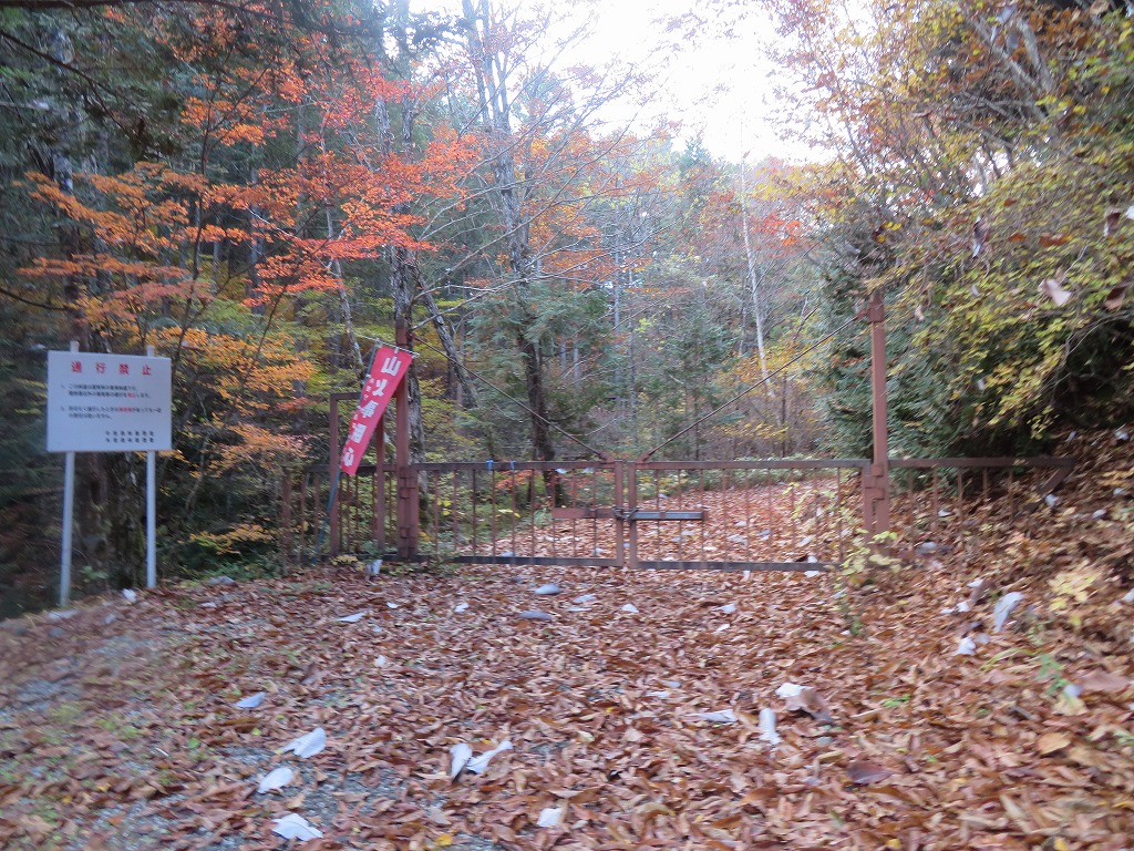 f:id:poseidonttzr:20211110142250j:plain