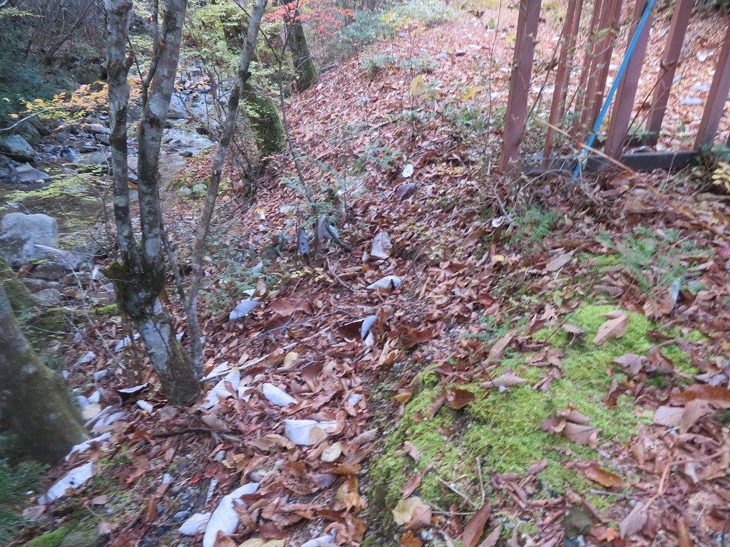 f:id:poseidonttzr:20211110143219j:plain