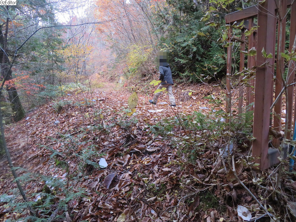 f:id:poseidonttzr:20211110143611j:plain