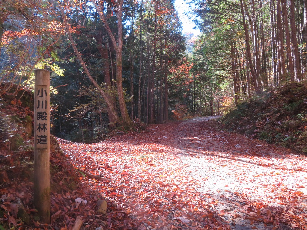 f:id:poseidonttzr:20211115132711j:plain