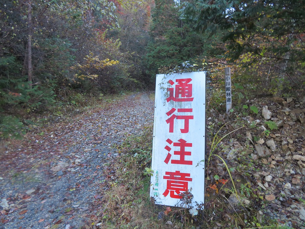 f:id:poseidonttzr:20211115134051j:plain