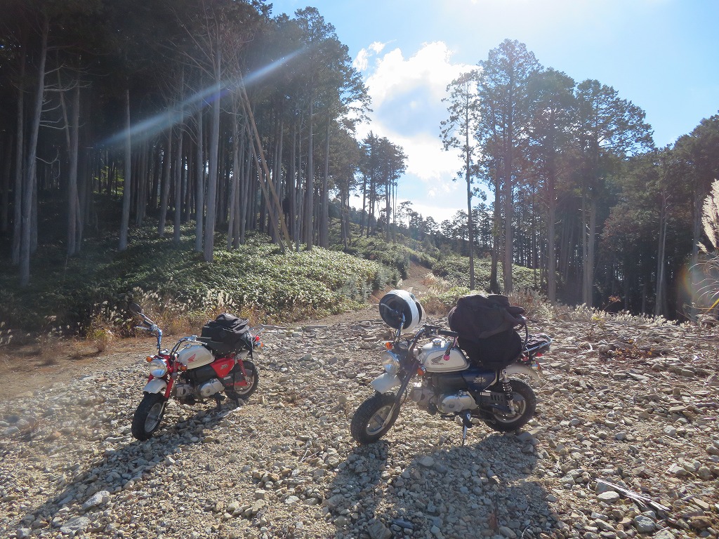 f:id:poseidonttzr:20211126125524j:plain