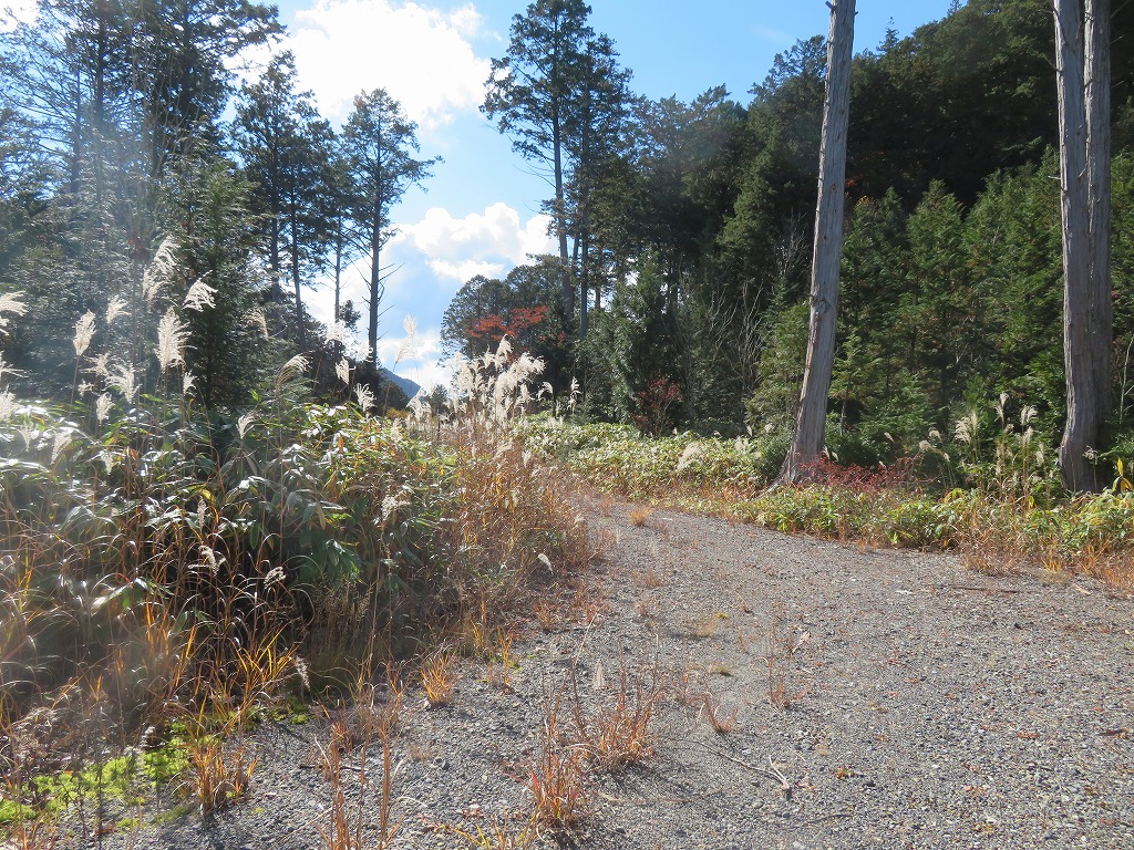 f:id:poseidonttzr:20211126131206j:plain