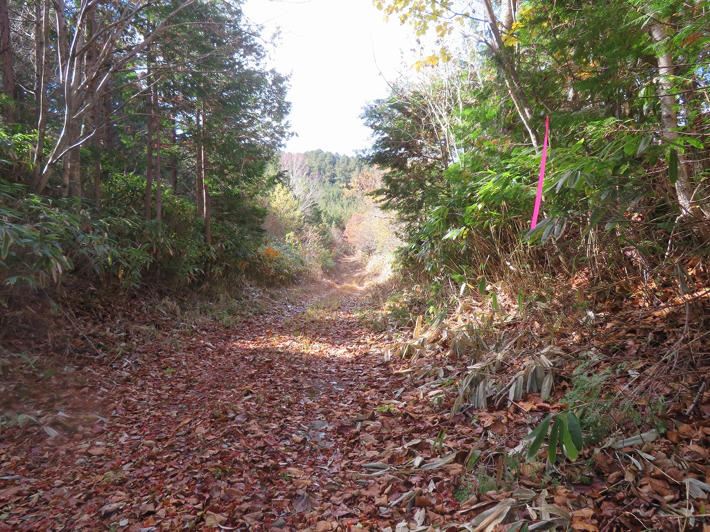 f:id:poseidonttzr:20211126131506j:plain