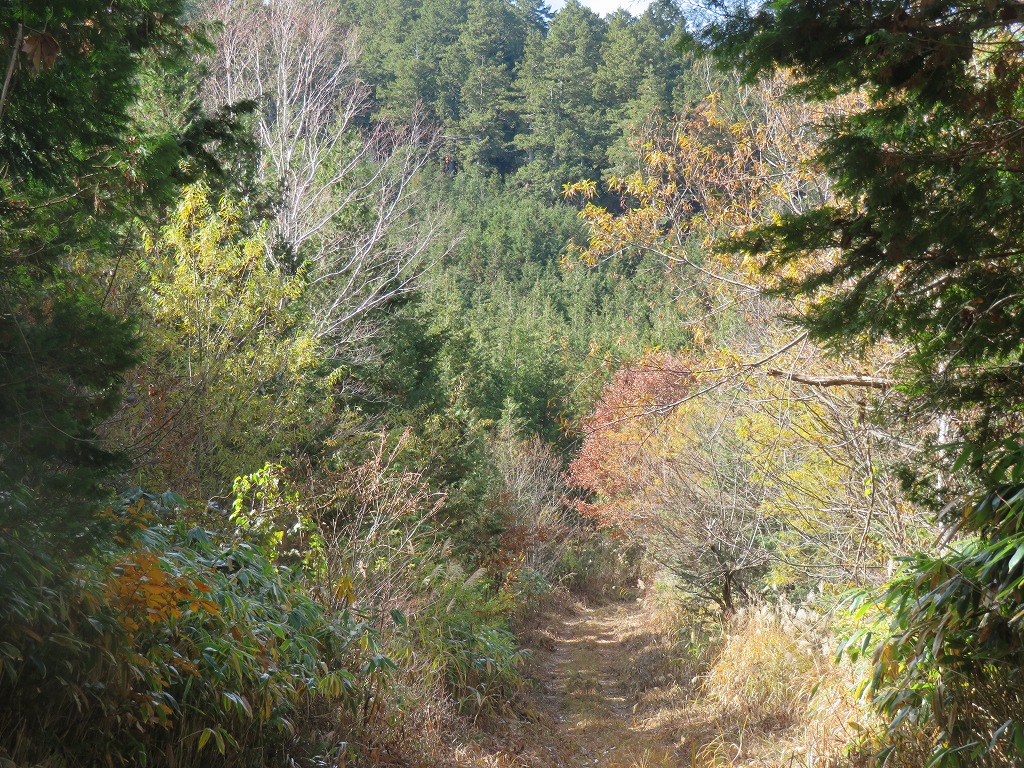 f:id:poseidonttzr:20211126131532j:plain