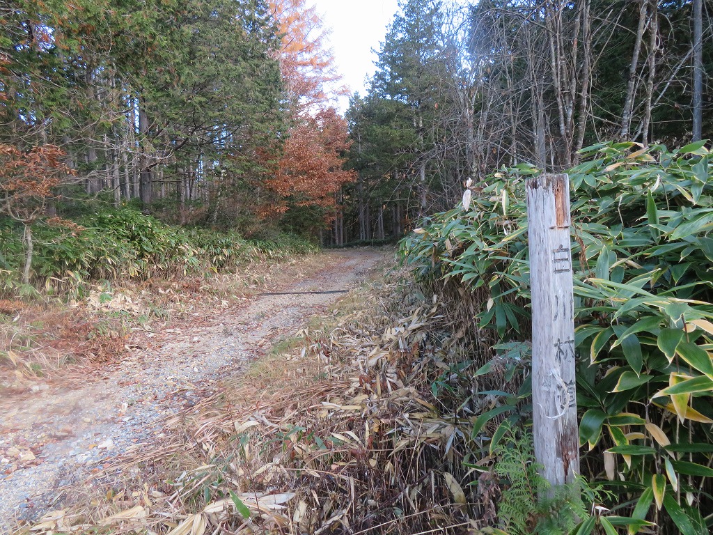 f:id:poseidonttzr:20211207132329j:plain