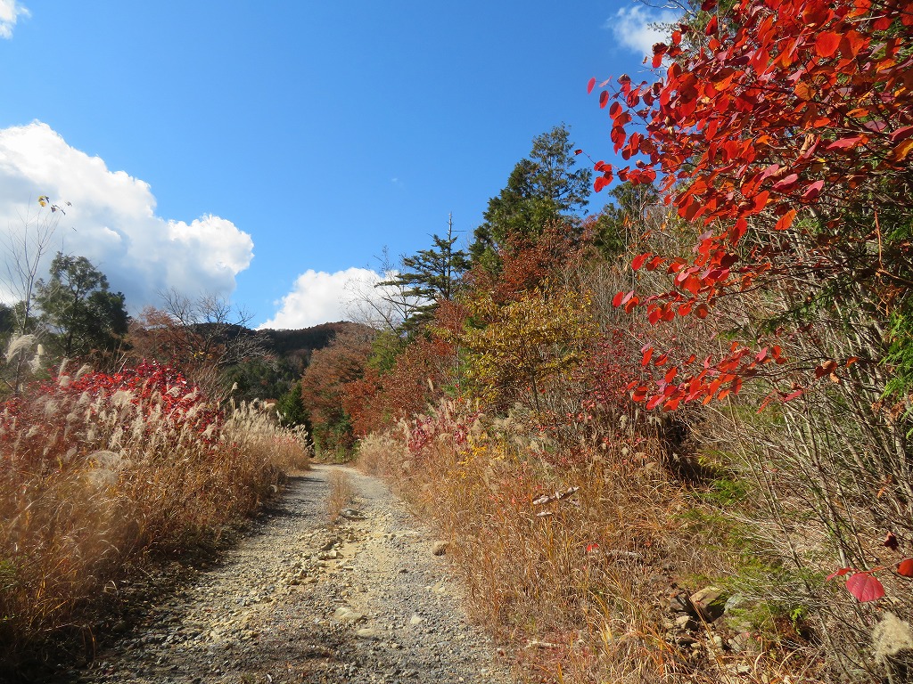 f:id:poseidonttzr:20211207132829j:plain