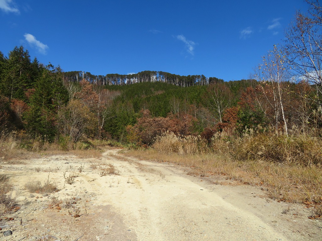 f:id:poseidonttzr:20211207133021j:plain