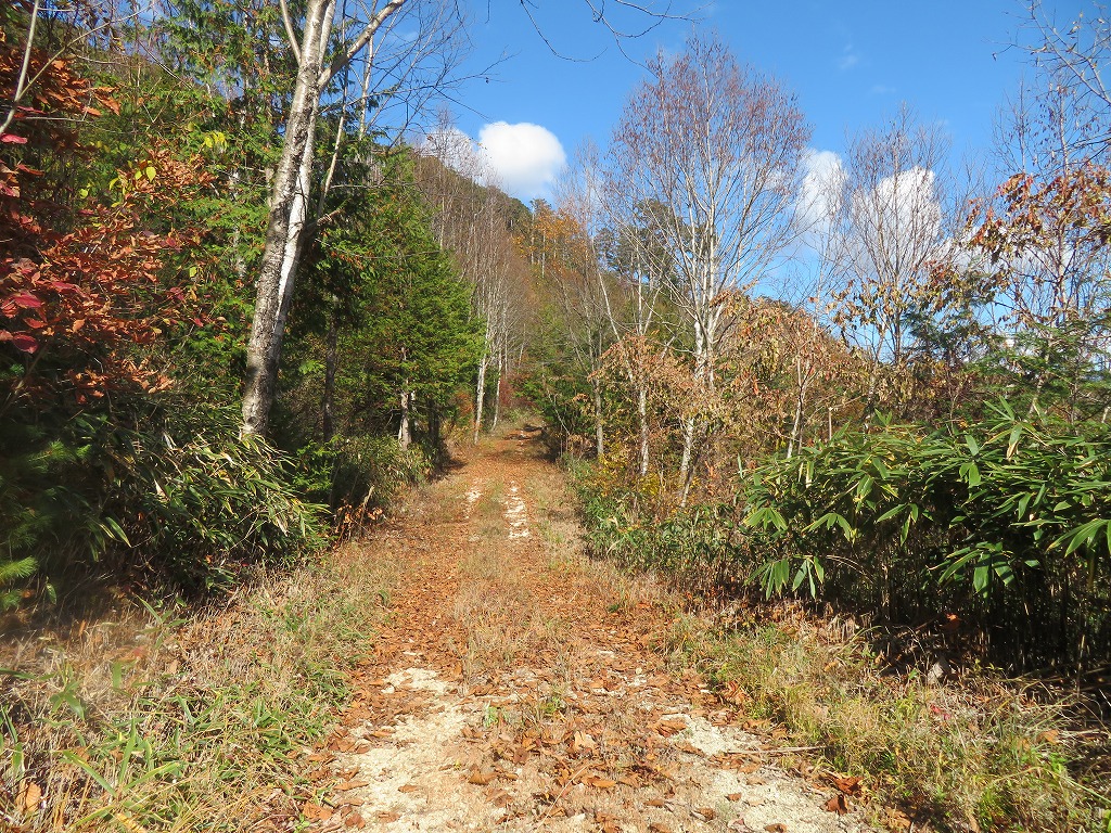 f:id:poseidonttzr:20211207133438j:plain