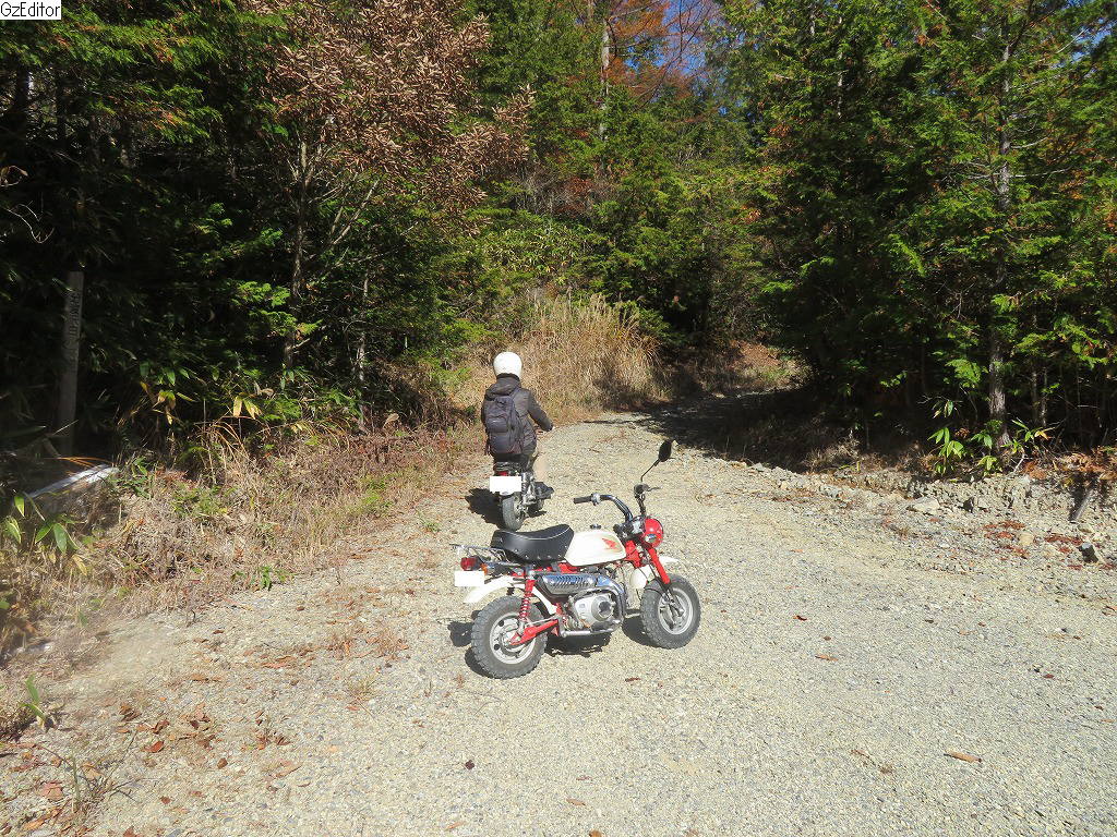 f:id:poseidonttzr:20211207134540j:plain