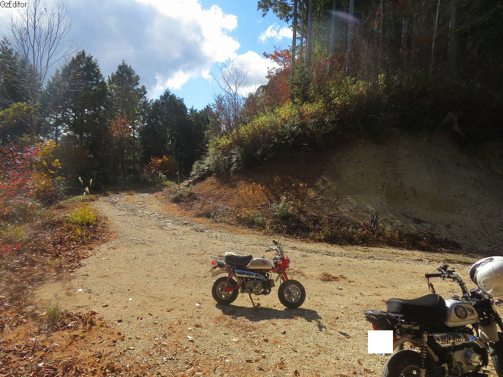 f:id:poseidonttzr:20211207134622j:plain