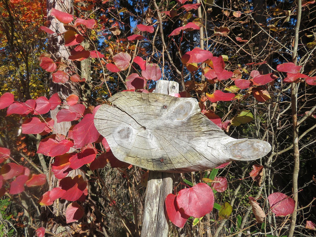 f:id:poseidonttzr:20211207134724j:plain