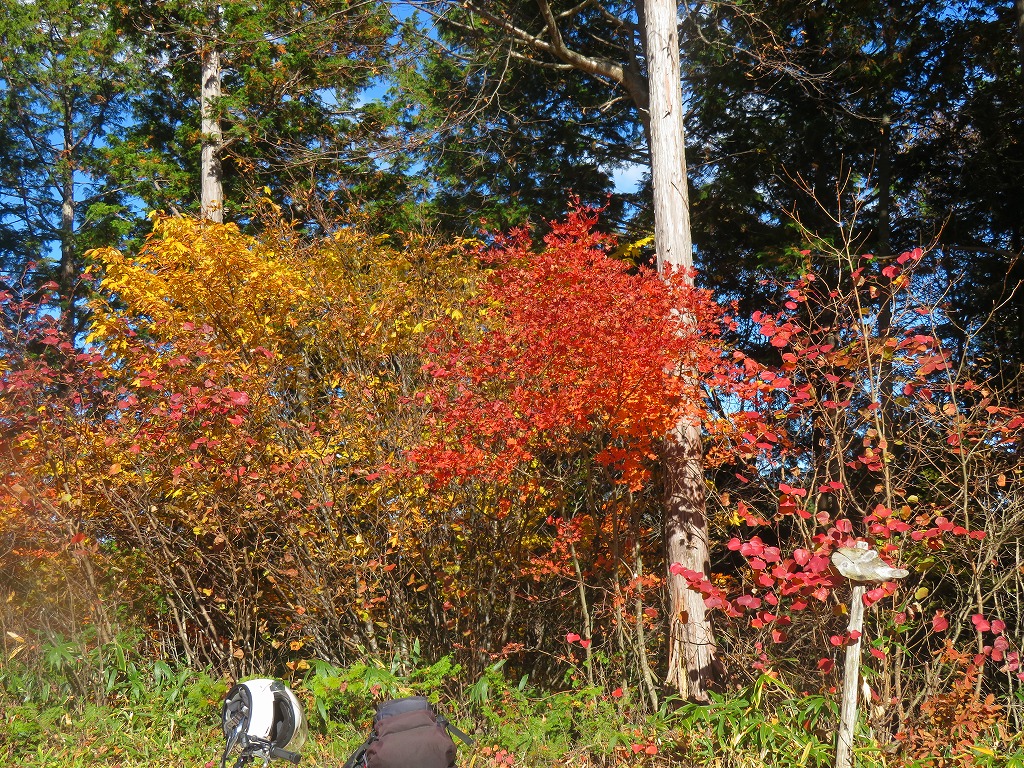 f:id:poseidonttzr:20211207134808j:plain