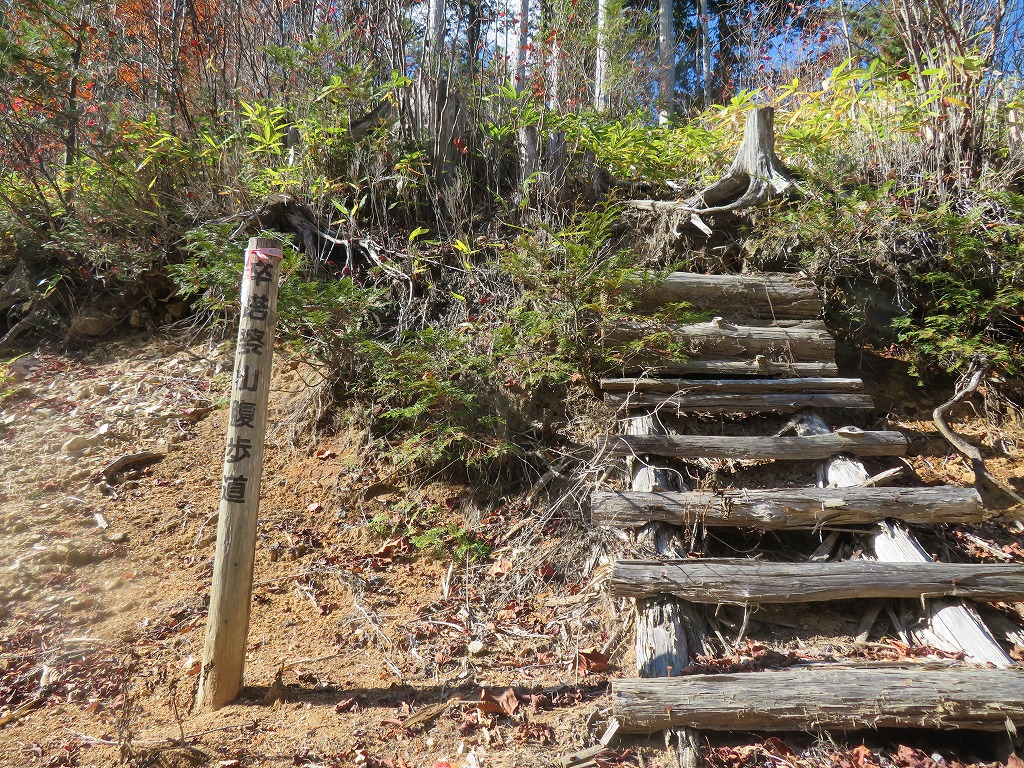 f:id:poseidonttzr:20211207134856j:plain