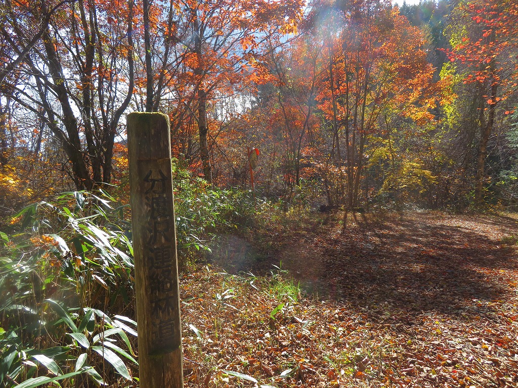 f:id:poseidonttzr:20211207135924j:plain