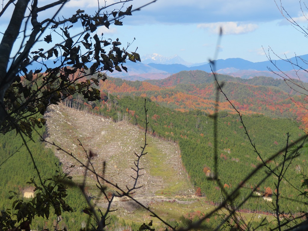 f:id:poseidonttzr:20211209123412j:plain