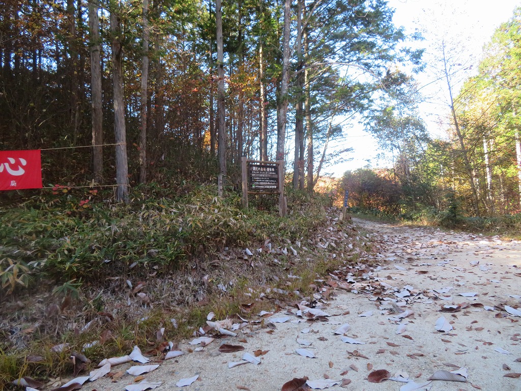 f:id:poseidonttzr:20211209124501j:plain