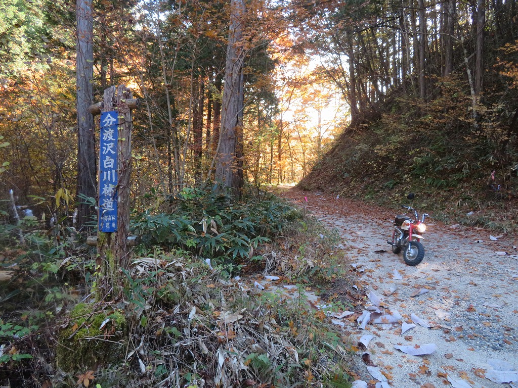 f:id:poseidonttzr:20211209124910j:plain