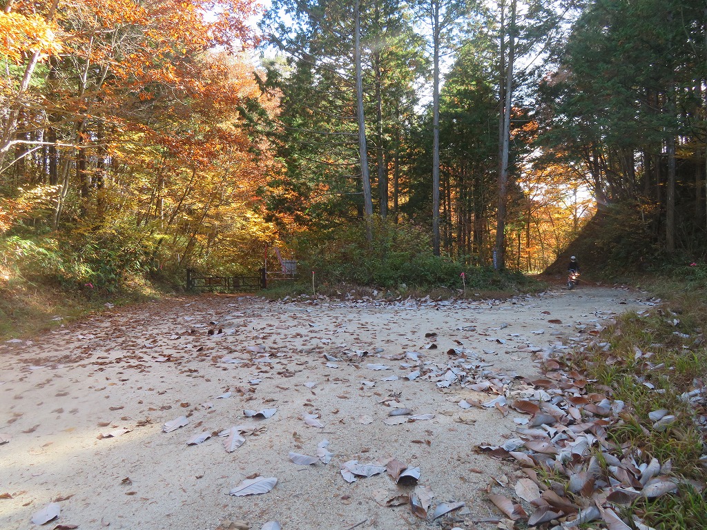 f:id:poseidonttzr:20211209125020j:plain