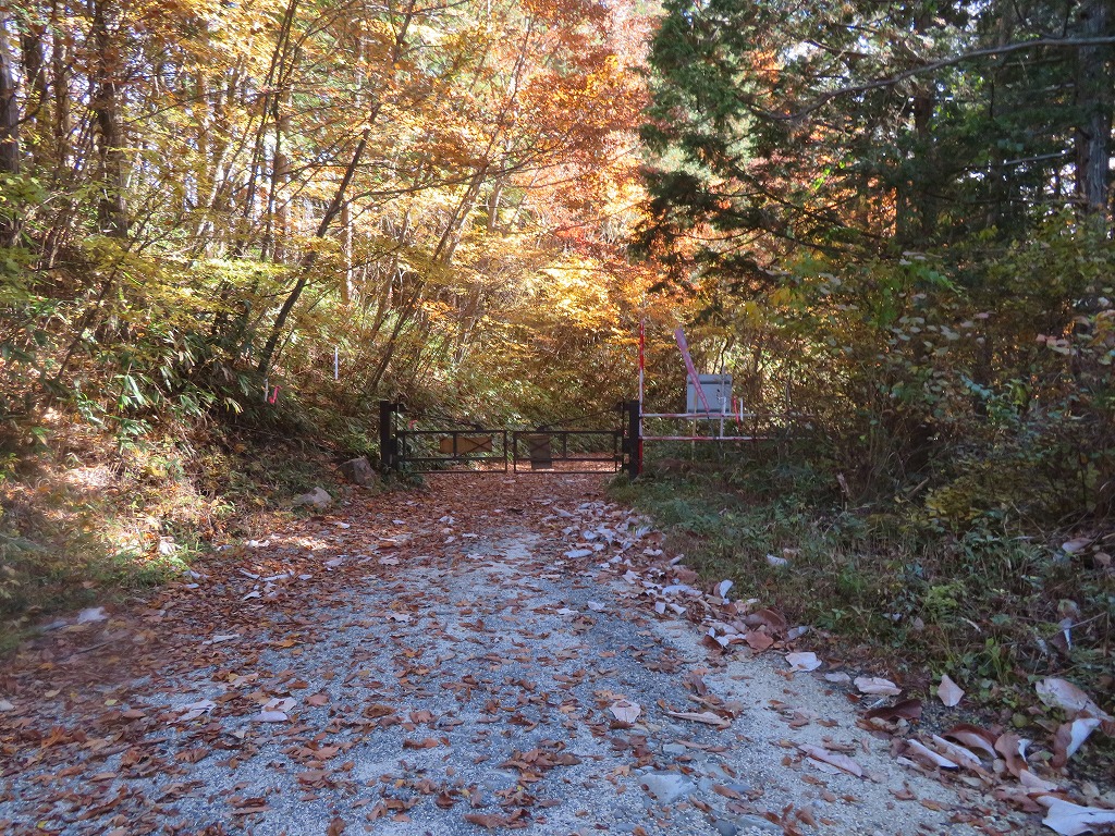 f:id:poseidonttzr:20211209125050j:plain