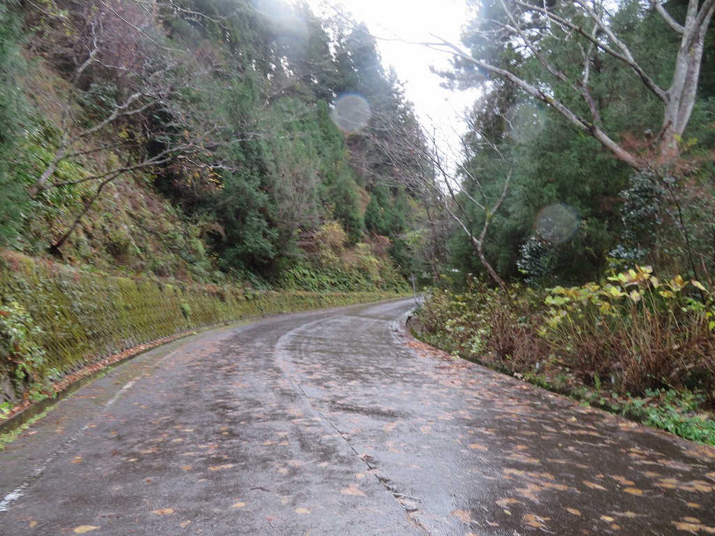 f:id:poseidonttzr:20211216125707j:plain