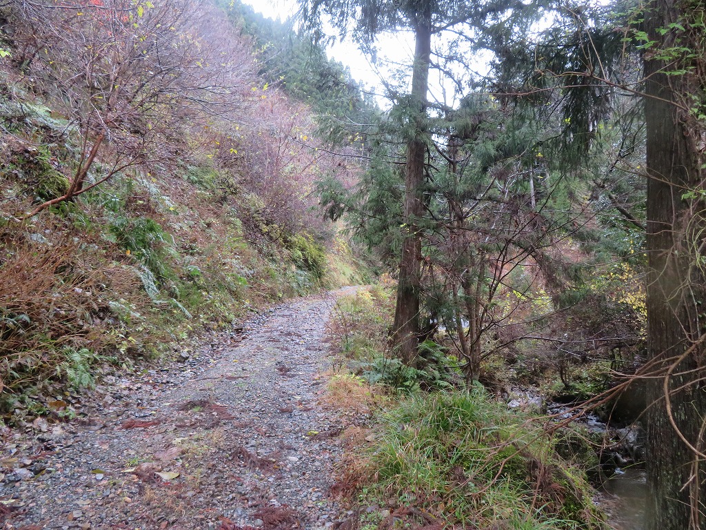 f:id:poseidonttzr:20211216131346j:plain