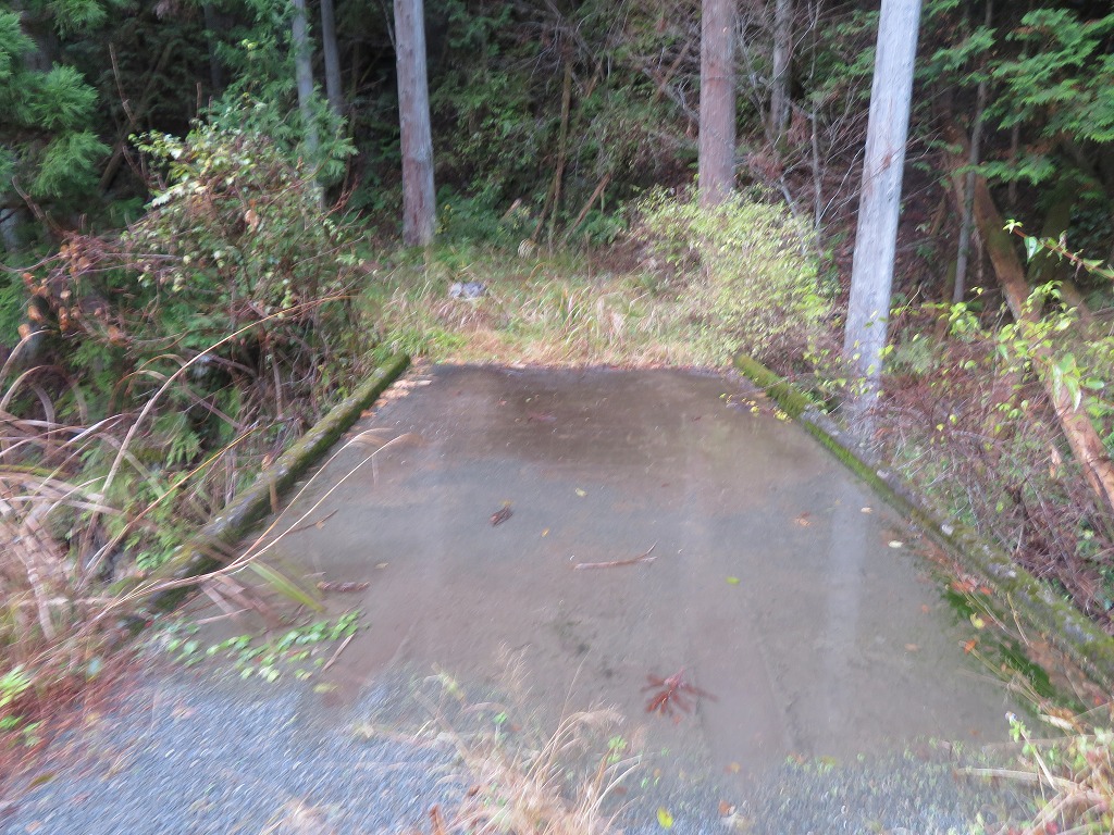 f:id:poseidonttzr:20211216134132j:plain