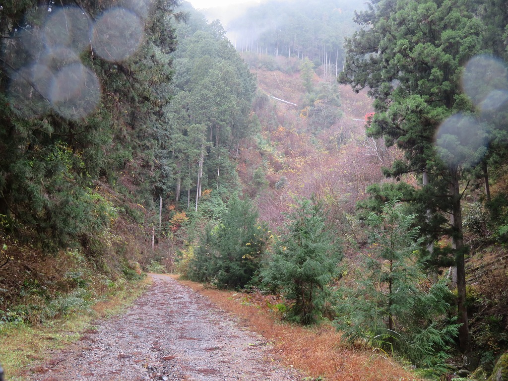 f:id:poseidonttzr:20211218070538j:plain