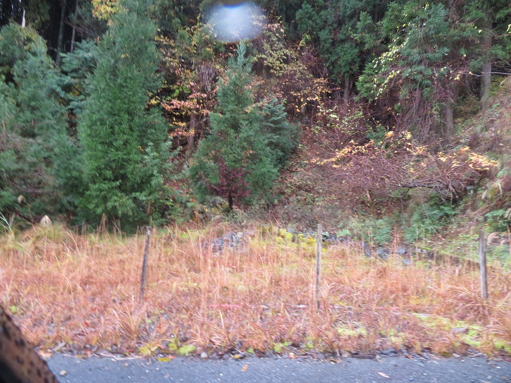 f:id:poseidonttzr:20211221134841j:plain