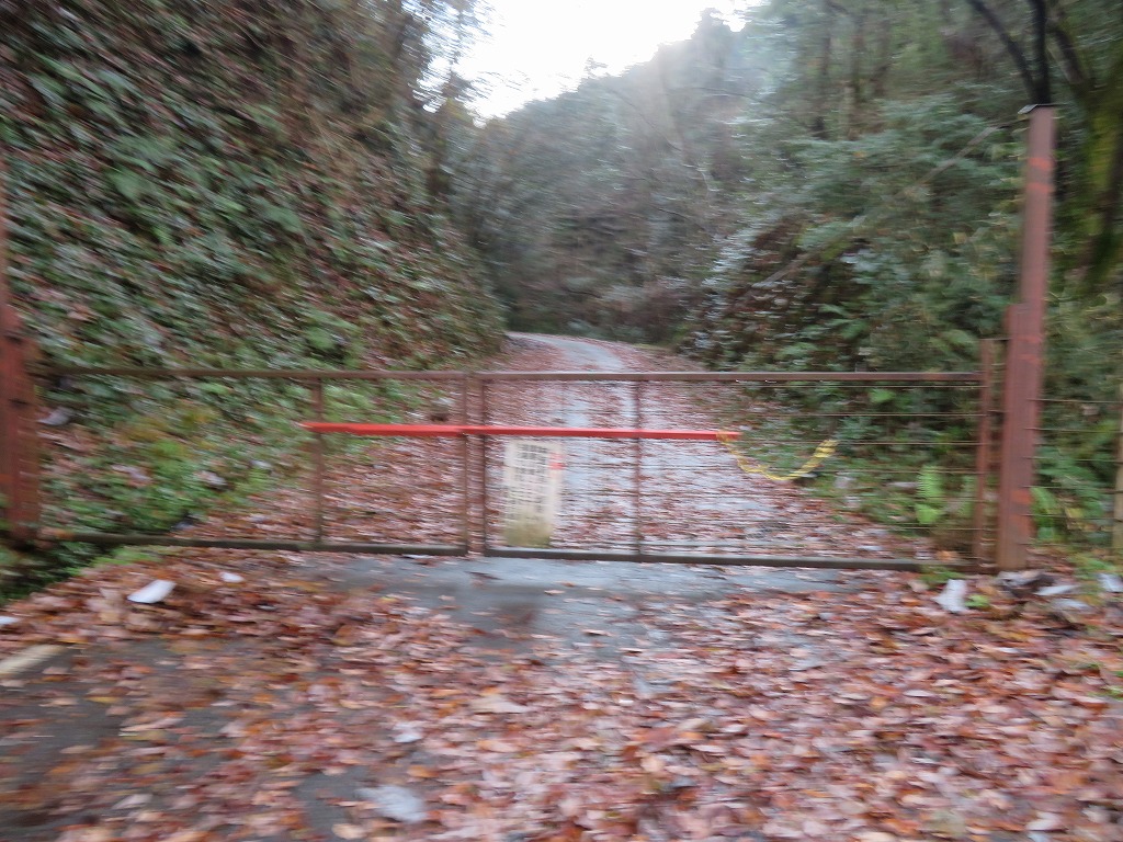 f:id:poseidonttzr:20211224171508j:plain