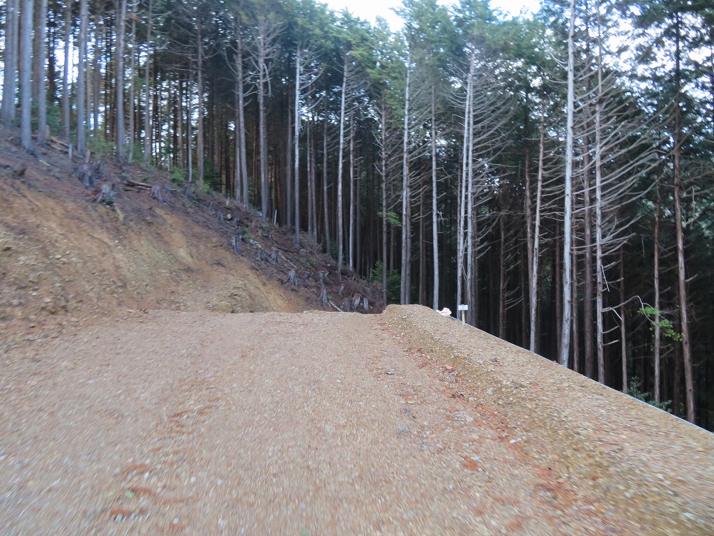 f:id:poseidonttzr:20211229063443j:plain