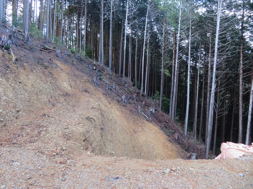 f:id:poseidonttzr:20211229063515j:plain