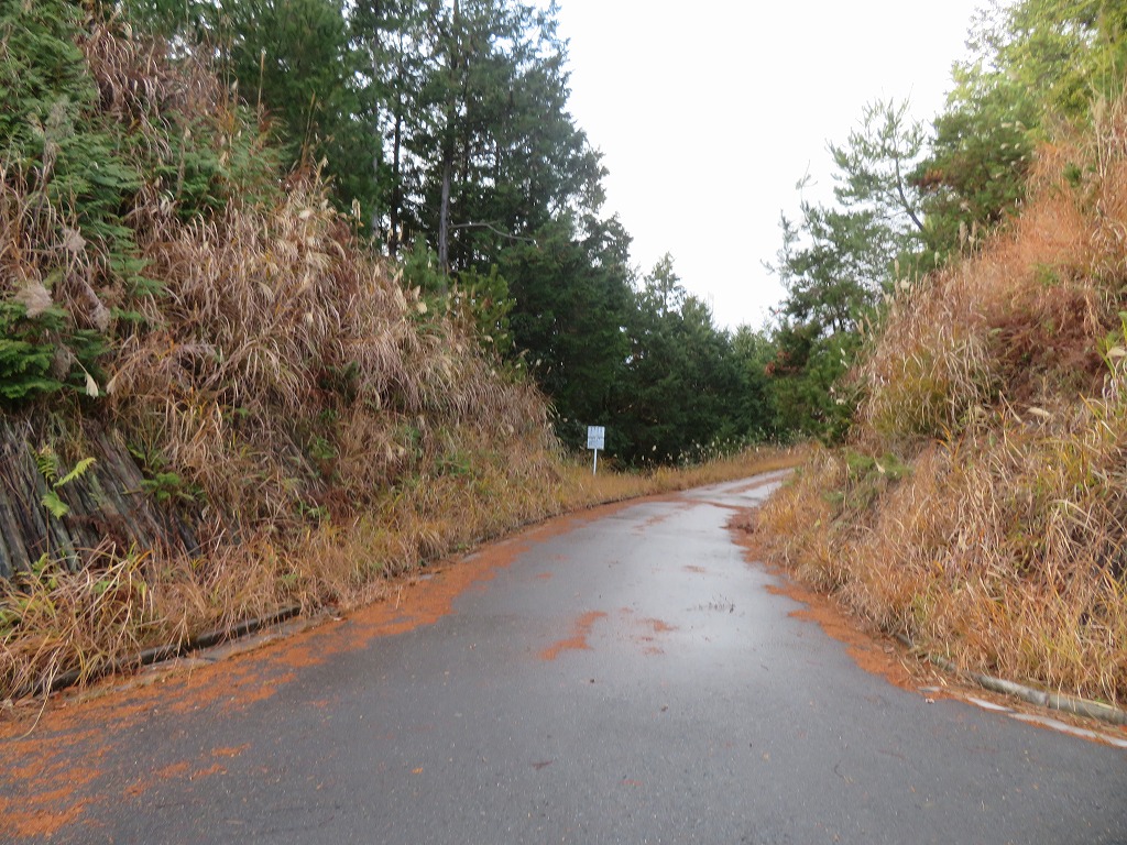 f:id:poseidonttzr:20211231122905j:plain