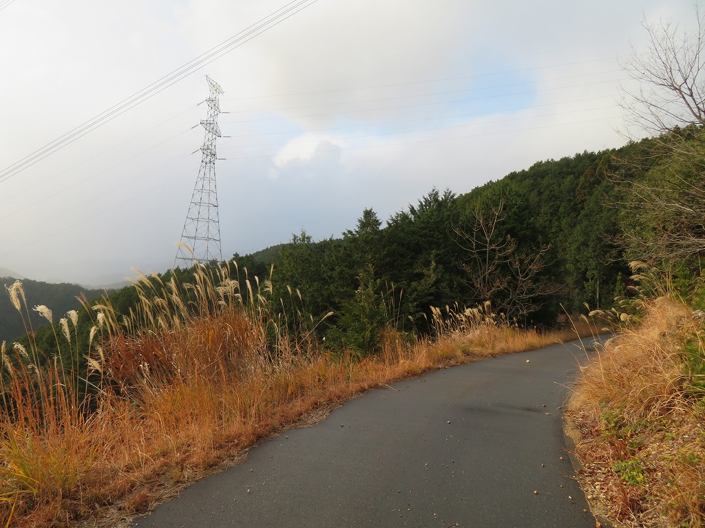 f:id:poseidonttzr:20211231123322j:plain