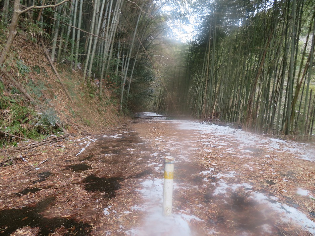 f:id:poseidonttzr:20220121164229j:plain