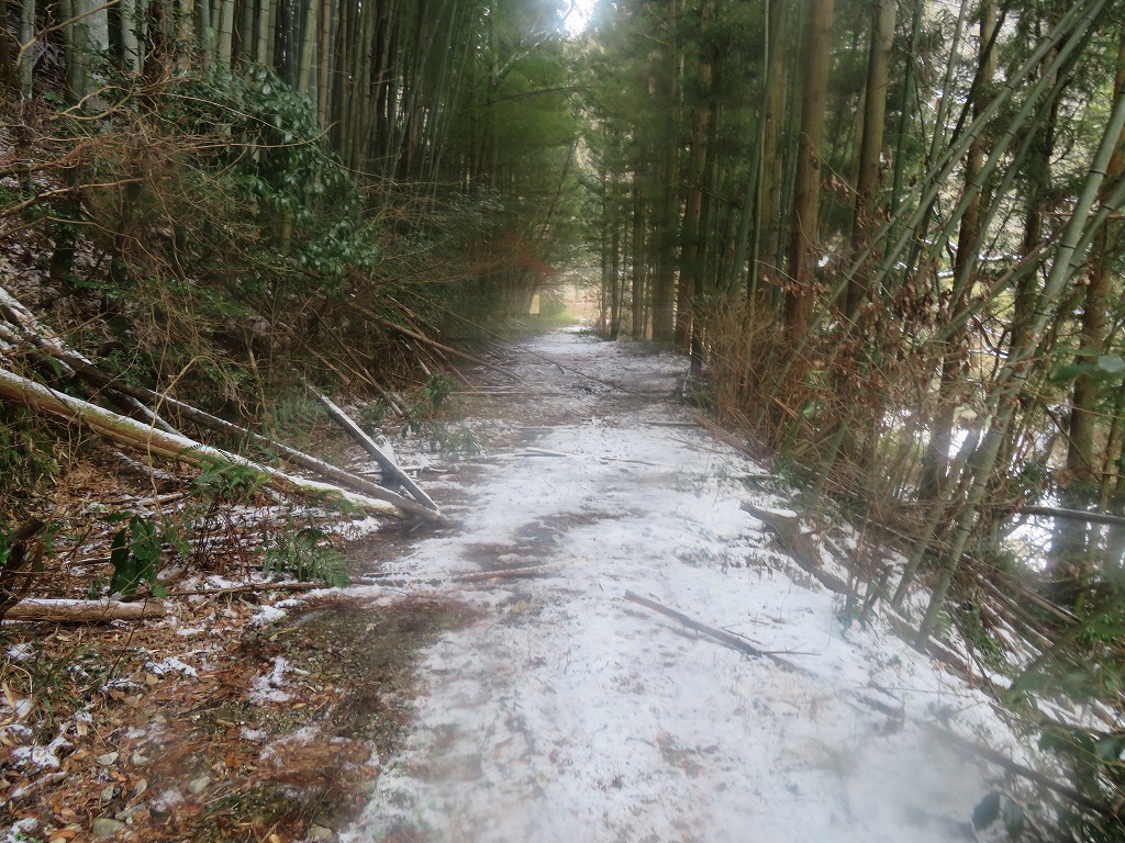 f:id:poseidonttzr:20220121164333j:plain