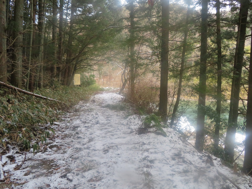 f:id:poseidonttzr:20220121164401j:plain