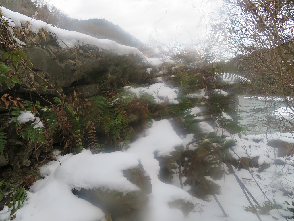 f:id:poseidonttzr:20220121165008j:plain