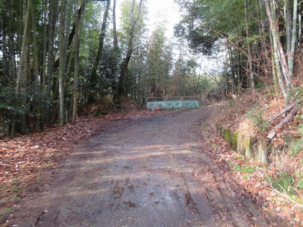 f:id:poseidonttzr:20220125142327j:plain