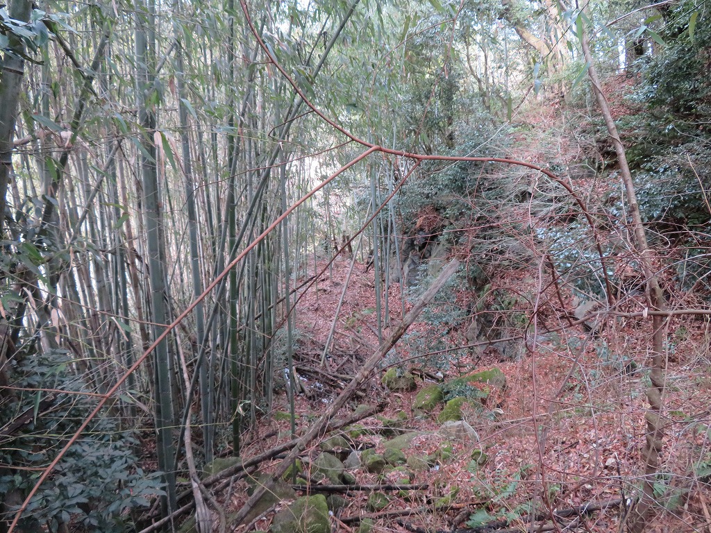 f:id:poseidonttzr:20220125142519j:plain