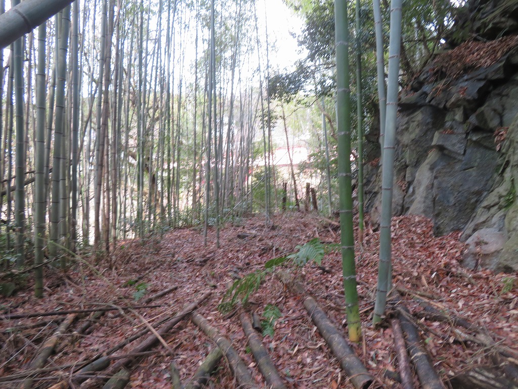 f:id:poseidonttzr:20220125143019j:plain