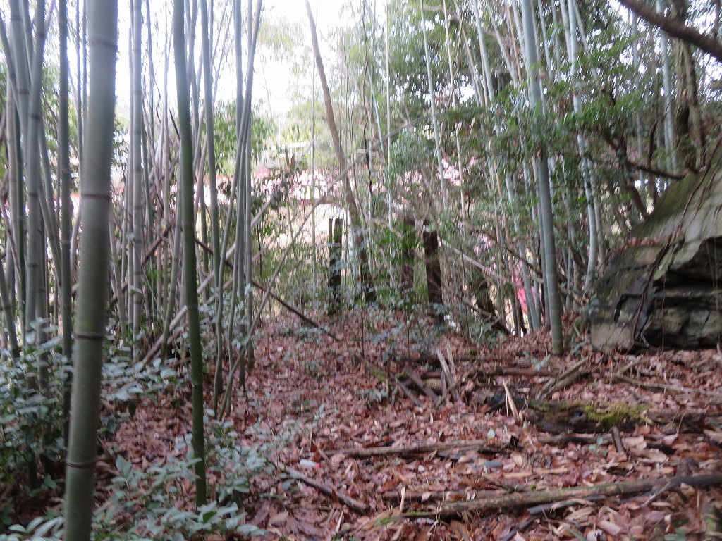 f:id:poseidonttzr:20220125143044j:plain