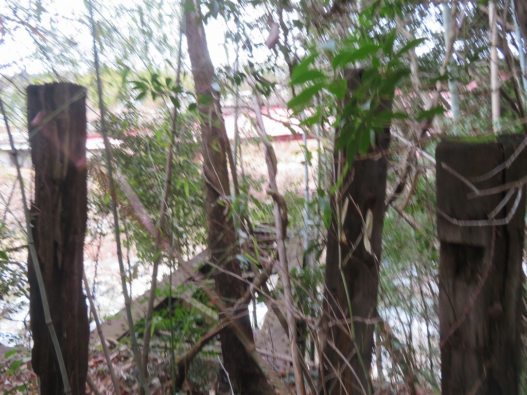 f:id:poseidonttzr:20220125143113j:plain