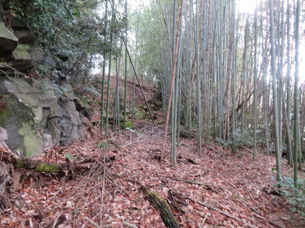 f:id:poseidonttzr:20220125143650j:plain