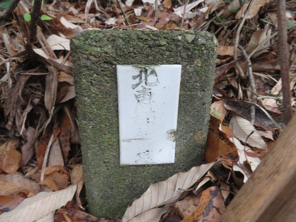 f:id:poseidonttzr:20220125143719j:plain